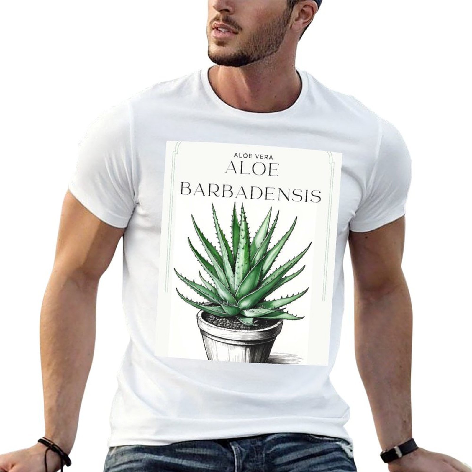Botanical Aloe Vera in pot rus - Aloe Vera Pot ulasan dan harga
