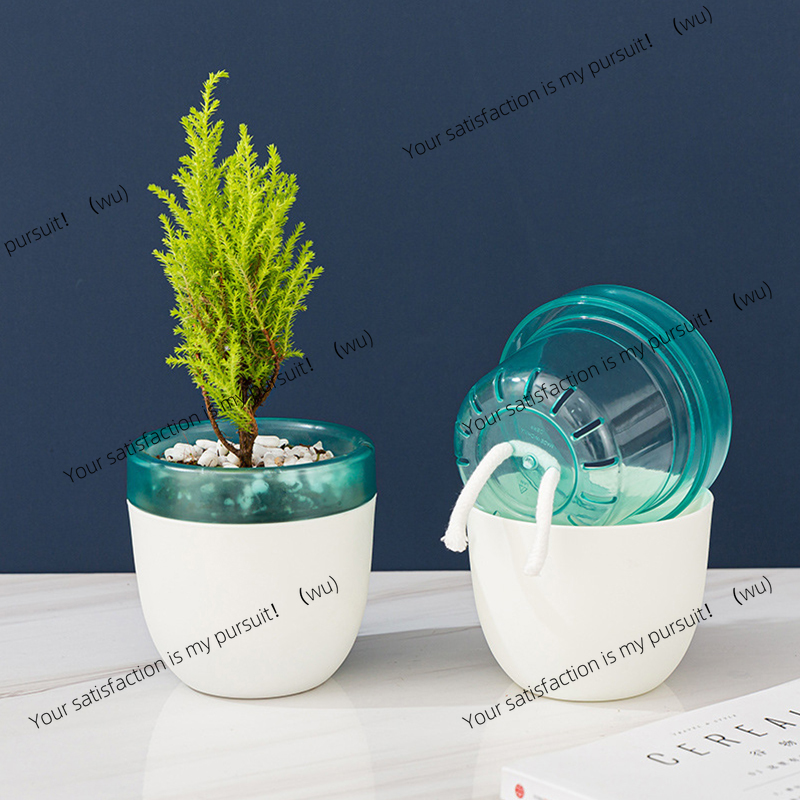 Automatic Water Absorption Laz - Aloe Vera Pot ulasan dan harga