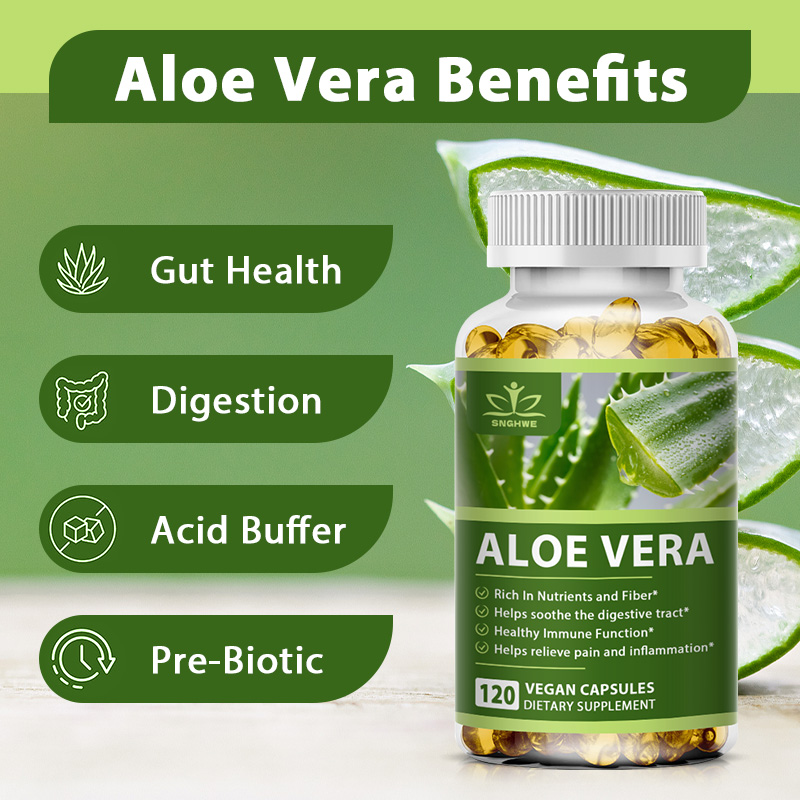 Organic Weight Loss Aloe Vera  - Aloe Vera Pot ulasan dan harga