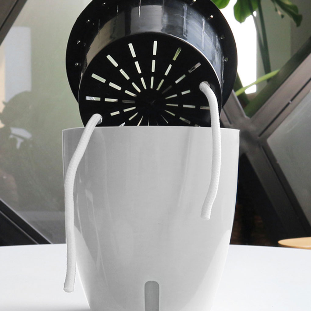 White Portable And Eco-friendl - Aloe Vera Pot ulasan dan harga