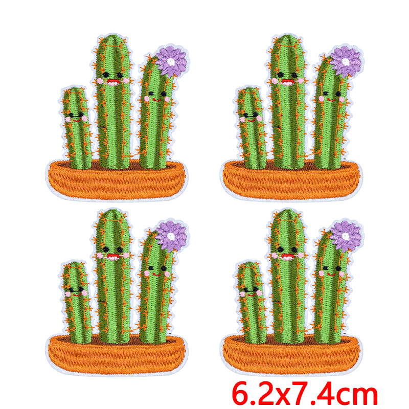 10Pcs/Lot Western Desert Iron  - Aloe Vera Pot ulasan dan harga
