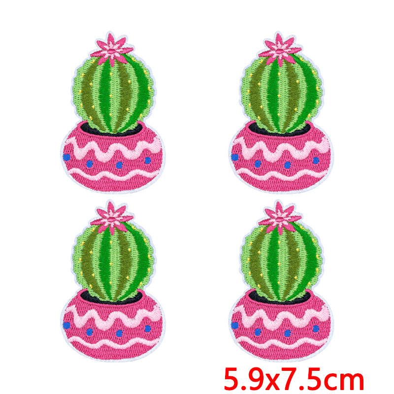 10Pcs/Lot Western Desert Iron  - Aloe Vera Pot ulasan dan harga